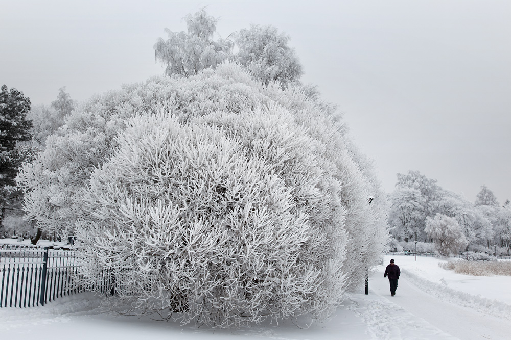 talvi_hietaniemi_003