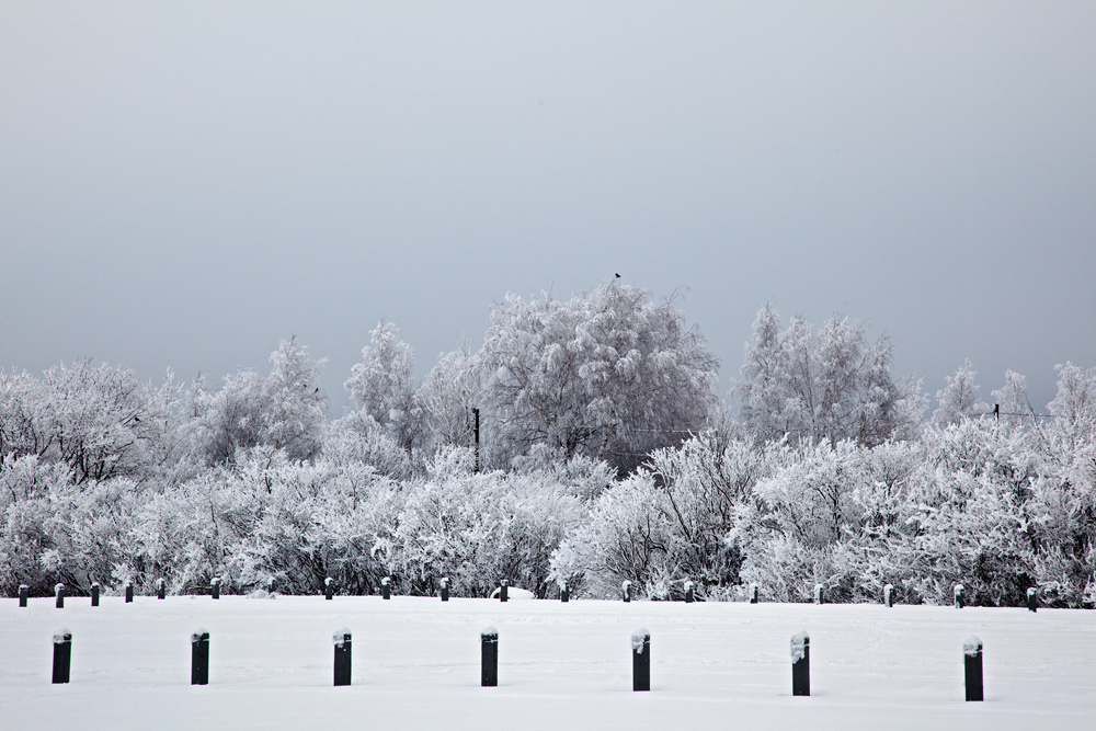 talvi_hietaniemi_014