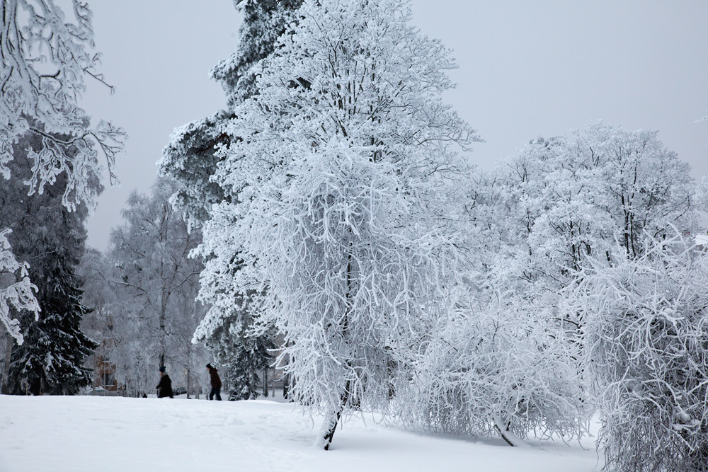 talvi_hietaniemi_032