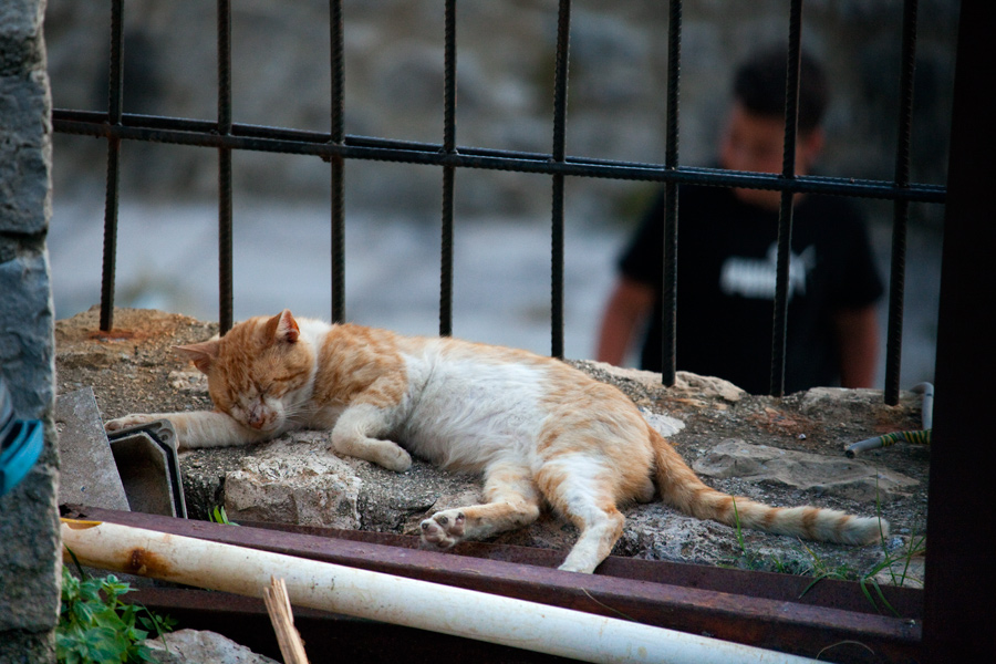 ulcinj_023