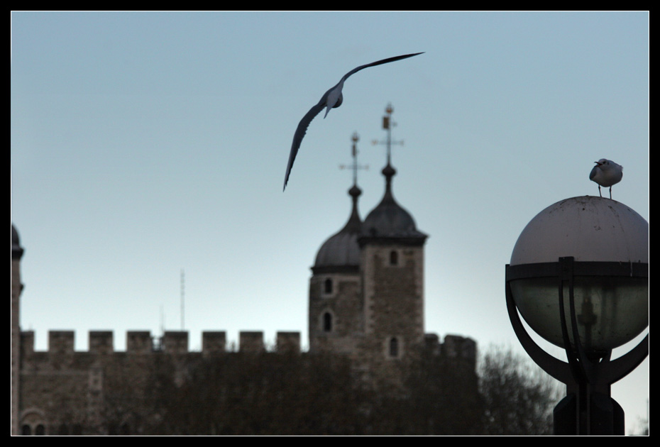  The Tower of London. Copyright digicamera.net / Matti Harju 2005.